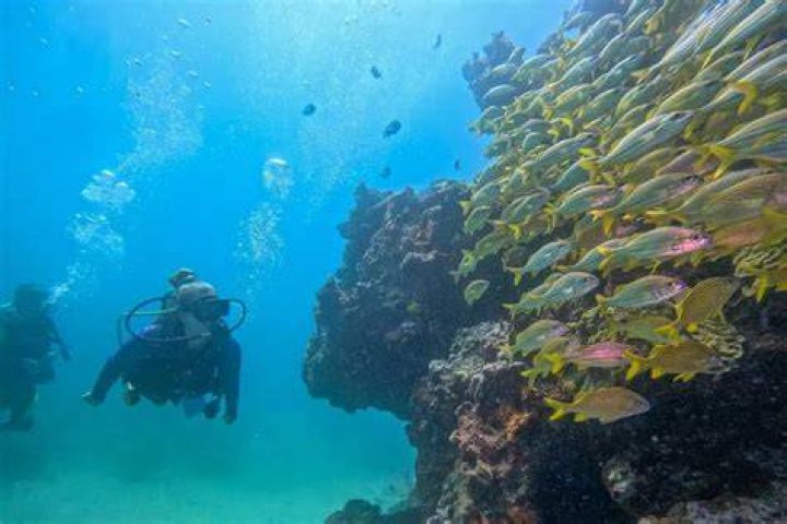 Someone scuba diving in costa rica while volunteering abroad
