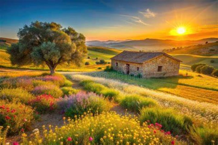 spanish countryside at nightfall
