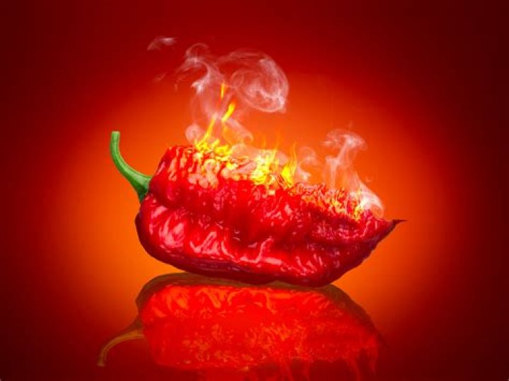 Spicy food can refer to food with plenty of flavor from spices, or food with noticeable heat. Photo / Annabel Langbein Media