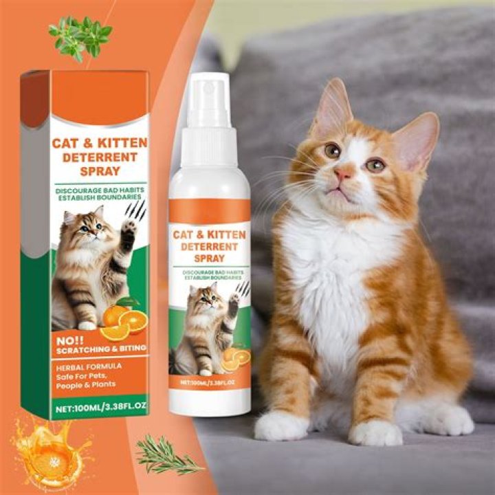 spraying a cat repellant in the house