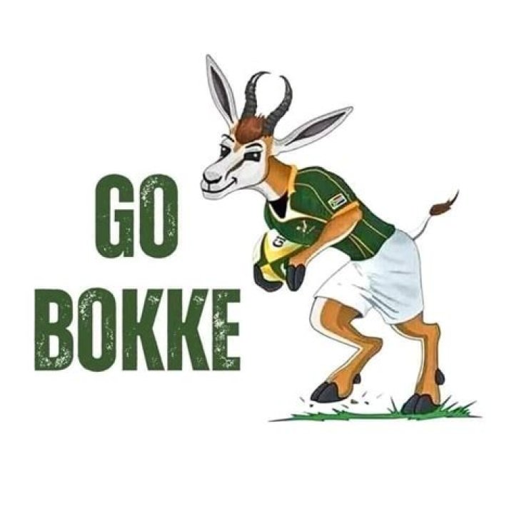 Springbok fan gets shoutout Springbok fan gets shoutout