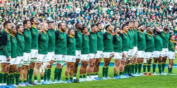 Springboks fans in New Zealand