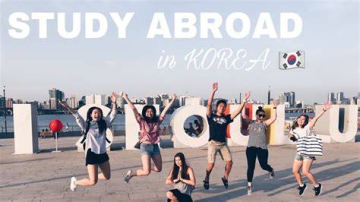 Study Abroad in Busan, South Korea