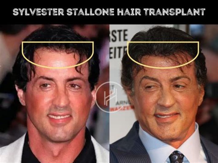 Sylvester Stallone HairStyle (Men HairStyles) Men Hair Styles Collection