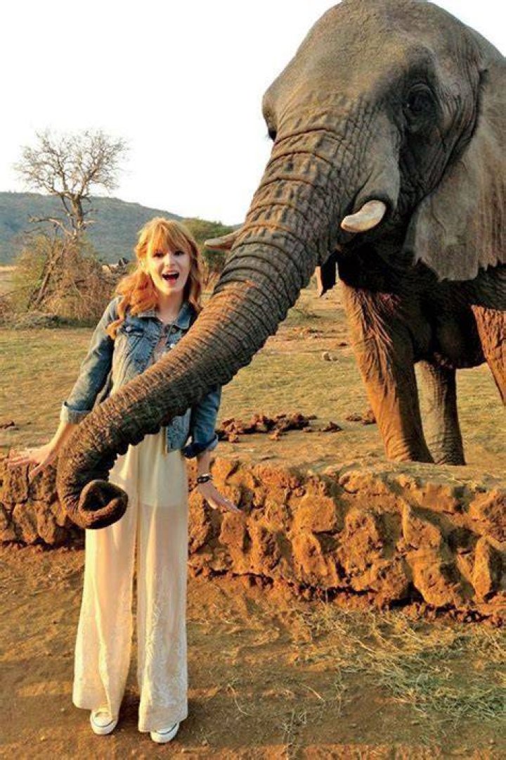 Taylor petting an elephant