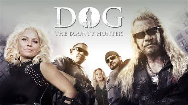 the bounty hunter the bounty hunter