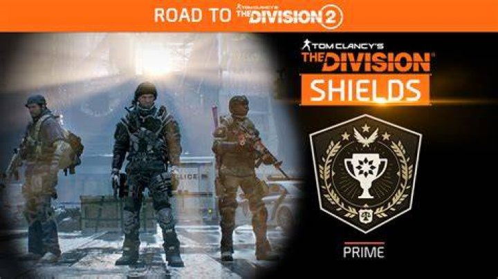 the division shield