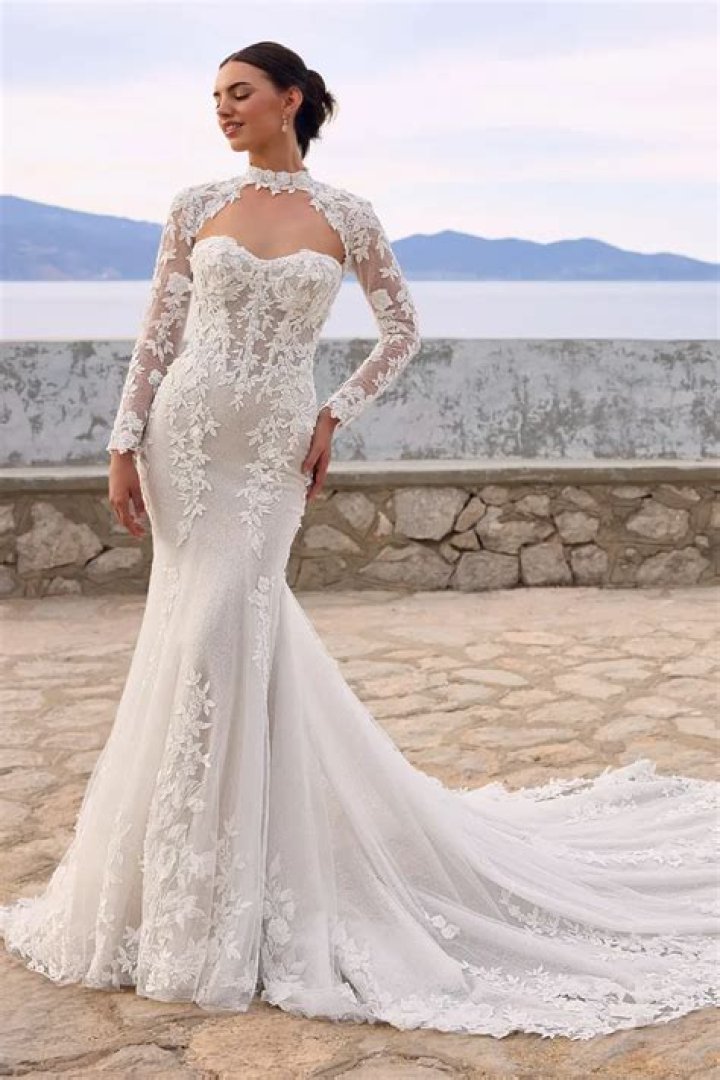 The extra-detailed mermaid gown The extra-detailed mermaid gown