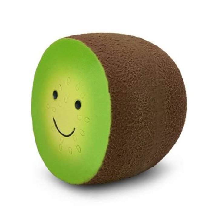 The kiwi dog toy previously sold by Mitre 10. Photo: Twitter / @Browncowkiwi
