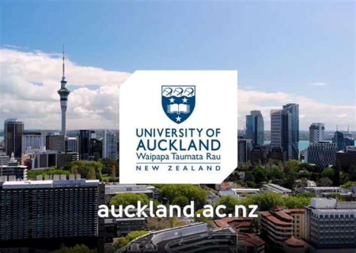 The University of Auckland's Gus Fisher Gallery is closed until further notice after a serious incident - the Herald understands art work by Jasmine Togo-Brisby was damaged.