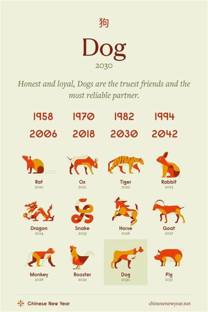 The Year of the Dog. Photo / 123RF