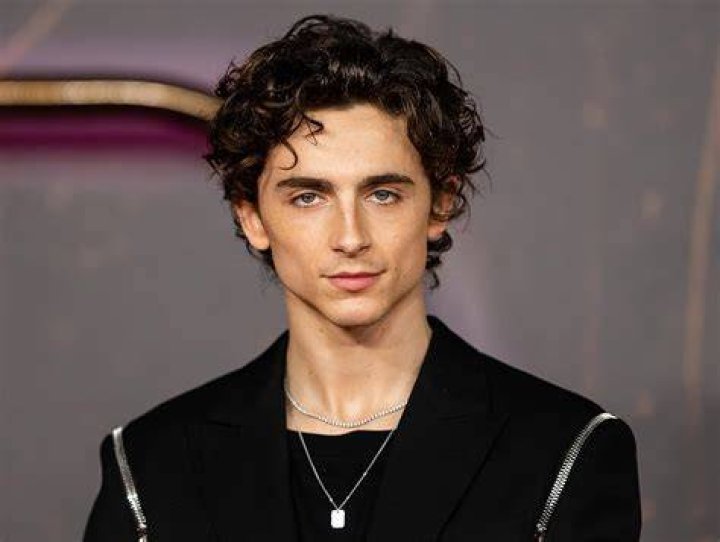 Timothee Chalamet has starred in Hollywood hits 'Dune', 'Bones and All' and 'Call Me by Your Name'. Photo / AP