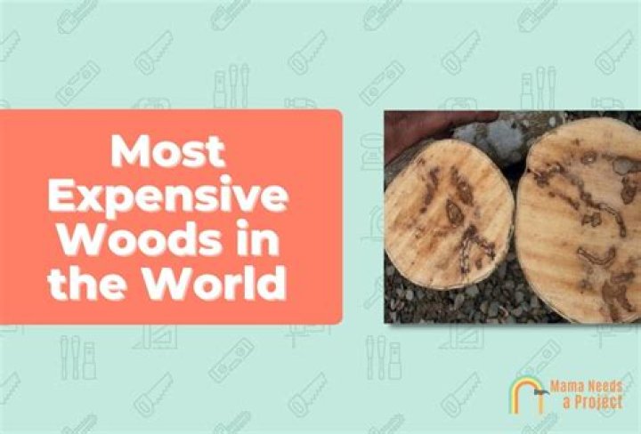 Top 15 most expensive wood species in the world (2023) unveiled
