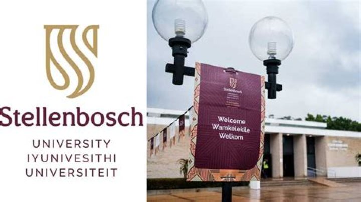 Top accounting schools in Mzansi Top accounting schools in Mzansi