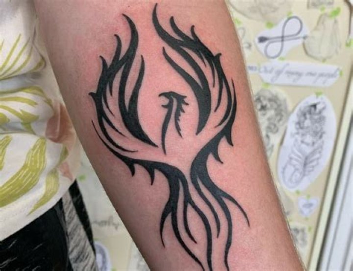 Tribal phoenix tattoos Tribal phoenix tattoos