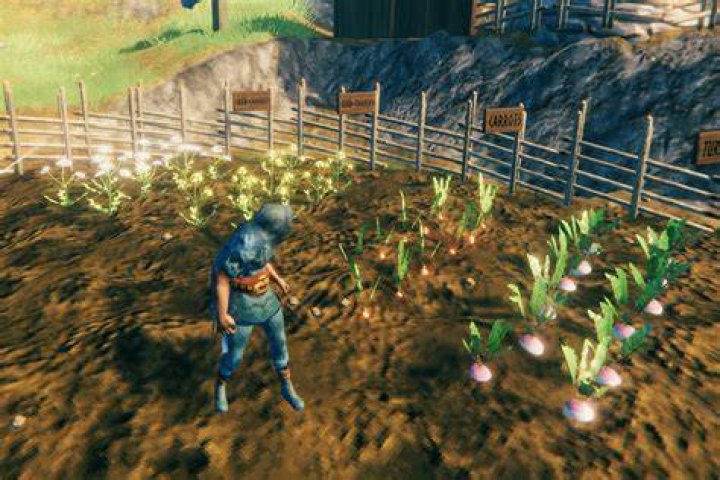 Valheim: How to plant seeds | Crafting a cultivator, finding and planting seeds