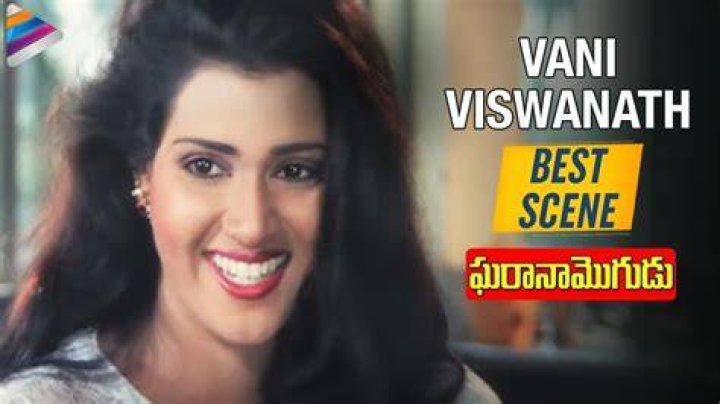 Vani Viswanath Image
