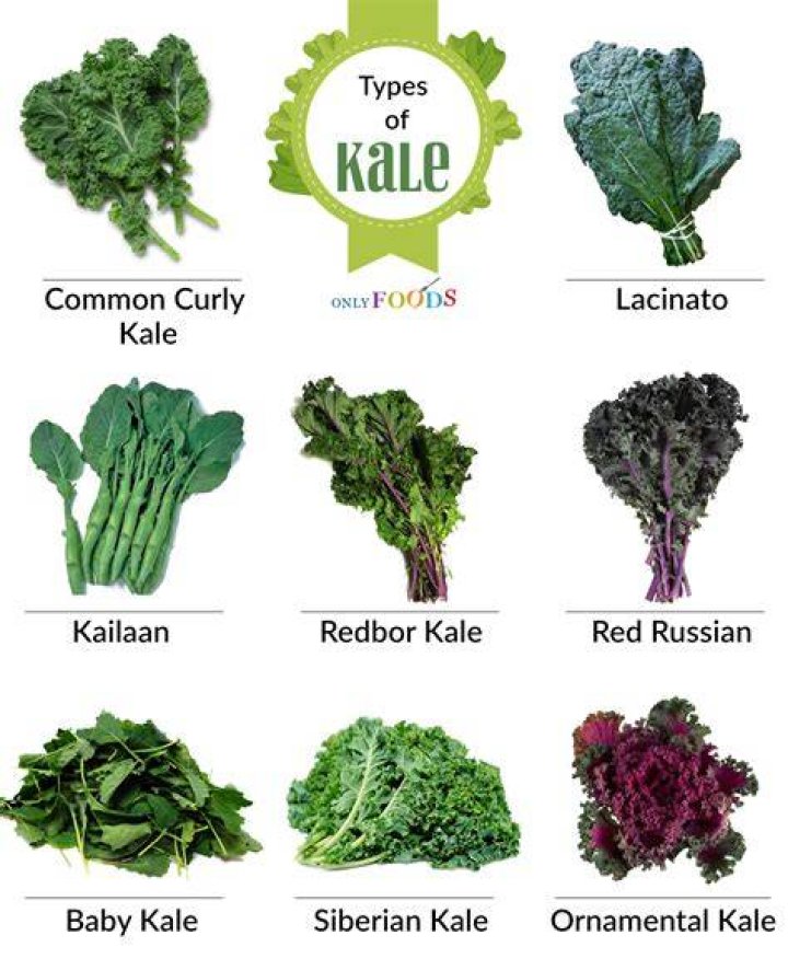 varieties of kale