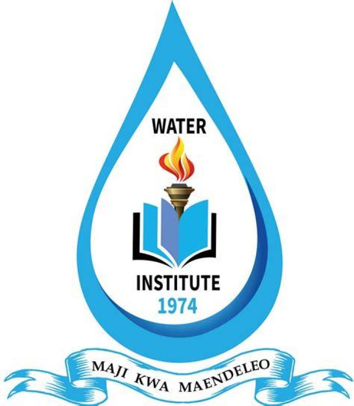 Water Institute (Wi)