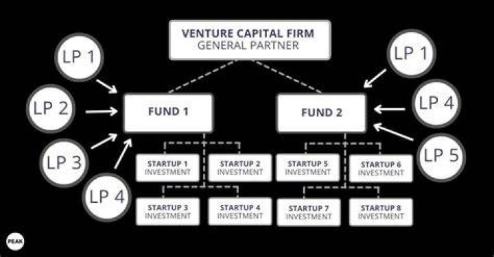 What is LP in venture capital?