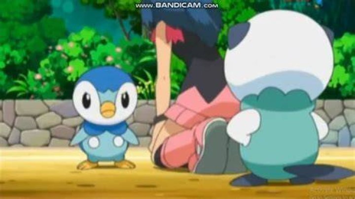 Who do you find more annoying, Oshawott, Piplup or Axew?