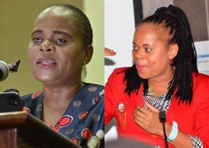 Who Is The Husband Of South African Politician Dr Phophi Ramathuba?