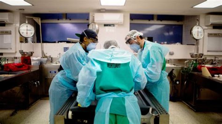 Who performs an autopsy of Dee Dee Blanchard? Breaking News in USA Today