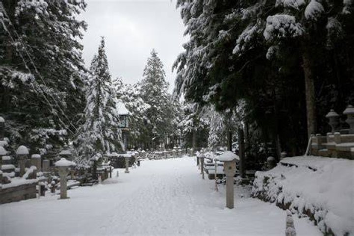 Winter in Koya, Japan