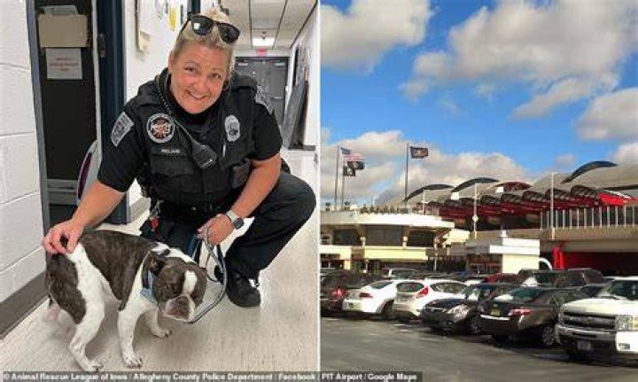 Woman abandons emotional support dog in airport after being told pet could not fly