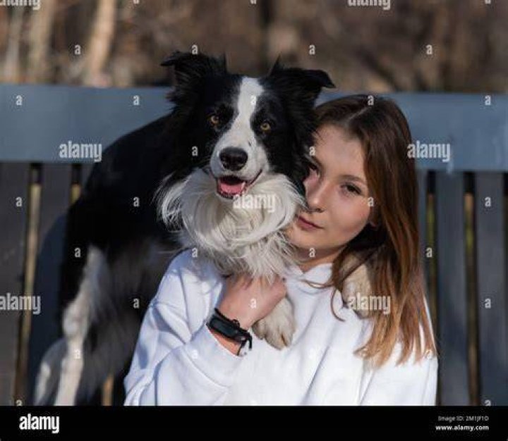 woman looking at border collie dog while having vet check up