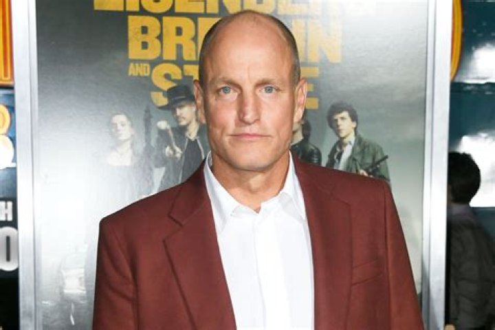 Woody Harrelson was reportedly involved in staging one intervention, which took place at OwenWilson's home in Maui in Hawaii. Photo / Getty Images